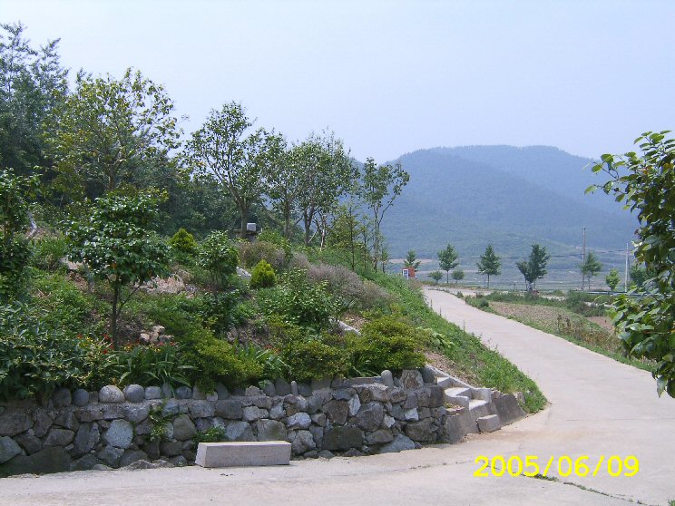1 249.jpg